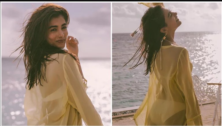 Pooja Hegde sets Instagram on fire in bikini and sultry sheer shirt, See Pics