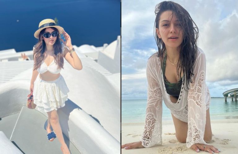 Hansika Motwani Weight, Height, Net Worth, Age, Boyfriend, Family, Wiki, Bio
