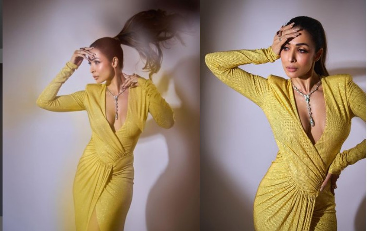 Malaika Arora looks gorgeous in a deep neck gown, Check it out!