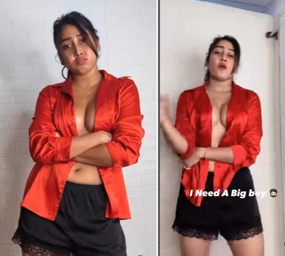 TikTok star Sofia Ansari set the internet on fire with her new video