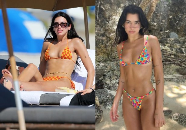 Dua Lipa soaked up the sun as she looked gorgeous in various monokini on vacation