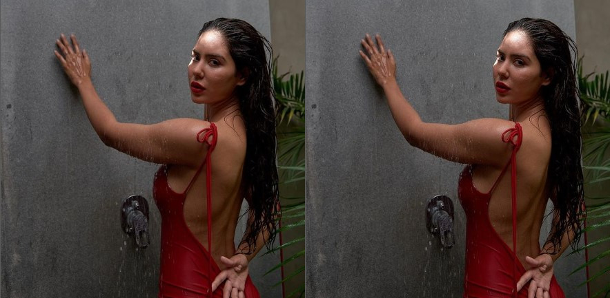 Sonam Bajwa takes a shower in a scarlet red backless dress, Video goes viral