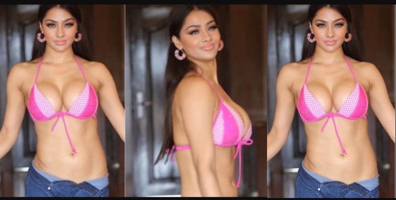 Namrita Malla's Hot belly dance goes viral on the internet, Watch it!